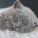 สมาชิกหมายเลข 746602