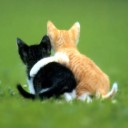 ก็แค่อยากให้อยู่ใกล้ๆ