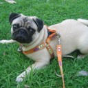 สมาชิกหมายเลข 745395