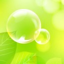 สมาชิกหมายเลข 2483110