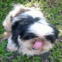 สมาชิกหมายเลข 850167