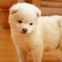 สมาชิกหมายเลข 1586810