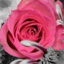 สมาชิกหมายเลข 2884784