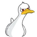 มายด์อาซาดะ