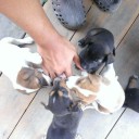 John-ชาวไร่