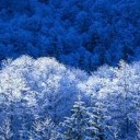 สมาชิกหมายเลข 1248212