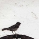 สมาชิกหมายเลข 1248298