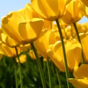 สมาชิกหมายเลข 2060947