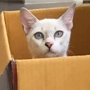 ขนมผิงชื่อนี้มีแต่ความอร่อย