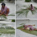 สมาชิกหมายเลข 850922