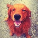 สมาชิกหมายเลข 1085239