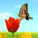 สมาชิกหมายเลข 1528957