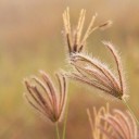 สมาชิกหมายเลข 1543557