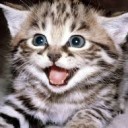 สมาชิกหมายเลข 2097390