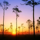 สมาชิกหมายเลข 851071