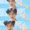 สมาชิกหมายเลข 2484786