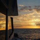 สมาชิกหมายเลข 851388