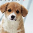 สมาชิกหมายเลข 725569