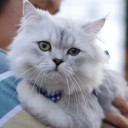 สมาชิกหมายเลข 891482