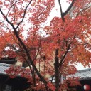 สมาชิกหมายเลข 1761379