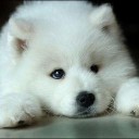 สมาชิกหมายเลข 1177789