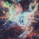 สมาชิกหมายเลข 1982527