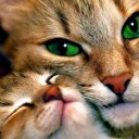 สมาชิกหมายเลข 1088722