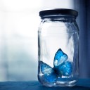 สมาชิกหมายเลข 1673675