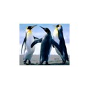 เครือเขาหลง