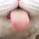 สมาชิกหมายเลข 1840509