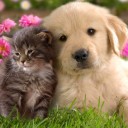 สมาชิกหมายเลข 925796