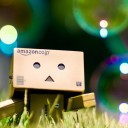 ไก่แจ้ตาหวาน