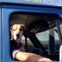 สมาชิกหมายเลข 842599