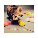 สมาชิกหมายเลข 852069