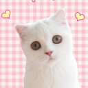 สมาชิกหมายเลข 2486255