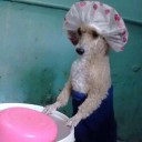 สมาชิกหมายเลข 716287