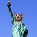 สมาชิกหมายเลข 2887476