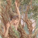 สมาชิกหมายเลข 1250634