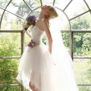 สมาชิกหมายเลข 1495313