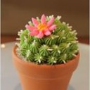 สมาชิกหมายเลข 1674533