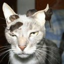 สมาชิกหมายเลข 1651825