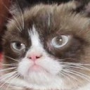 สมาชิกหมายเลข 2124139