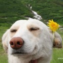 เด็กหญิงเฟิร์สศรี