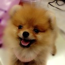 สมาชิกหมายเลข 852866