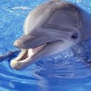 สมาชิกหมายเลข 1674863