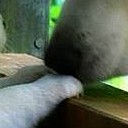 สมาชิกหมายเลข 1876163