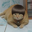 สมาชิกหมายเลข 739454