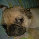 สมาชิกหมายเลข 1251576