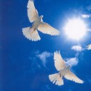 สมาชิกหมายเลข 3324626