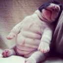 โปรดเอื้อเฟื้อต่อชะนีชรา